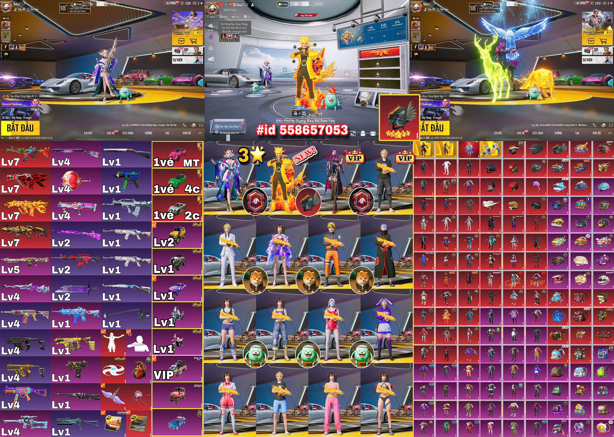 Ảnh đầy đủ tài khoản mã 16702