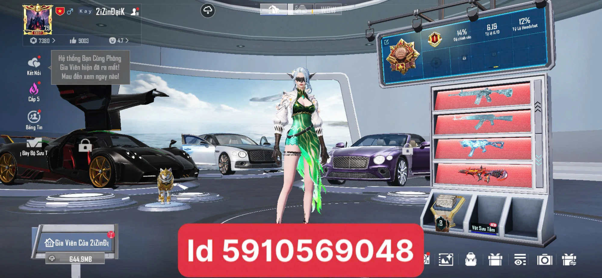 Ảnh đầy đủ tài khoản mã 16118