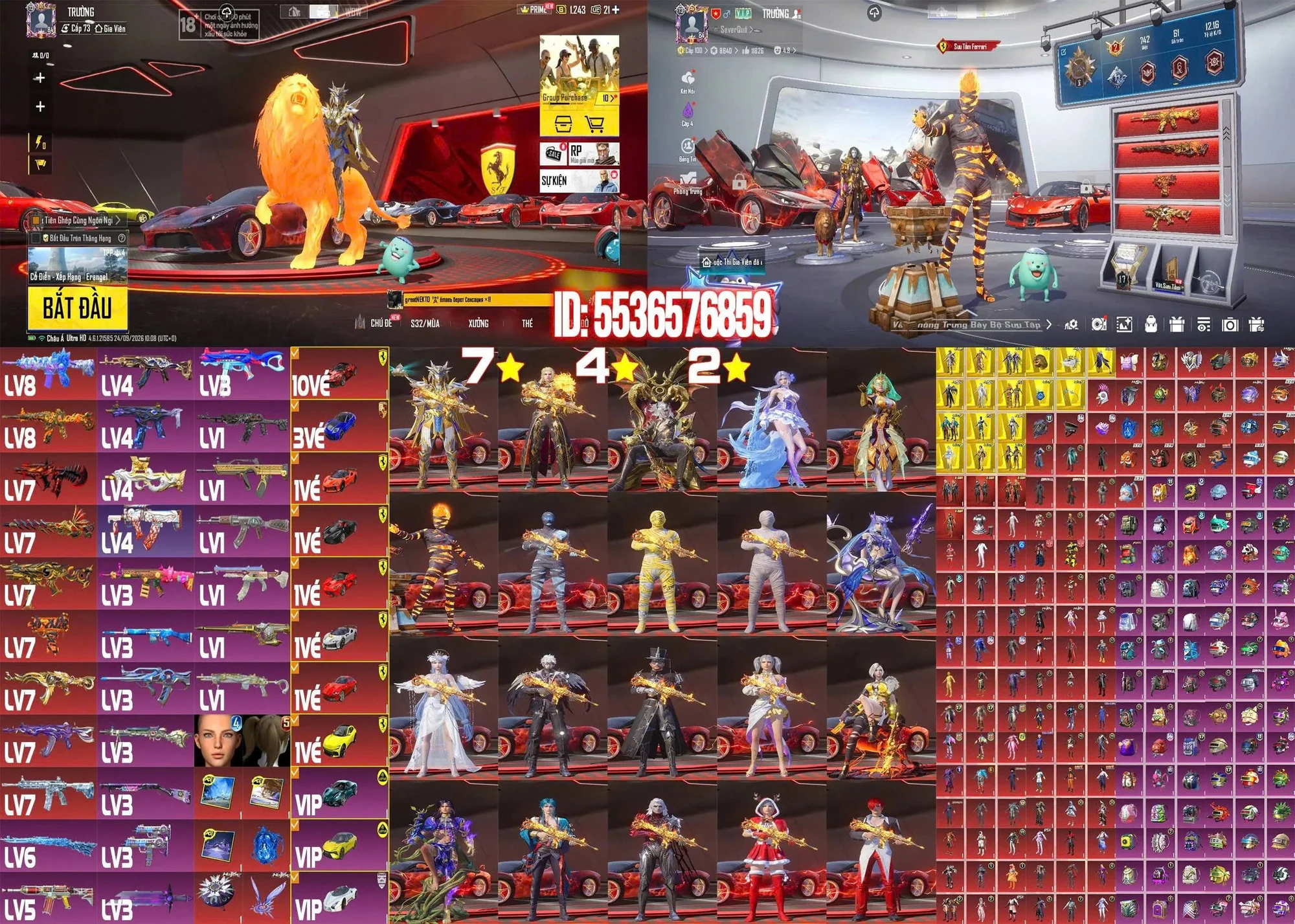 Ảnh đầy đủ tài khoản mã 17306