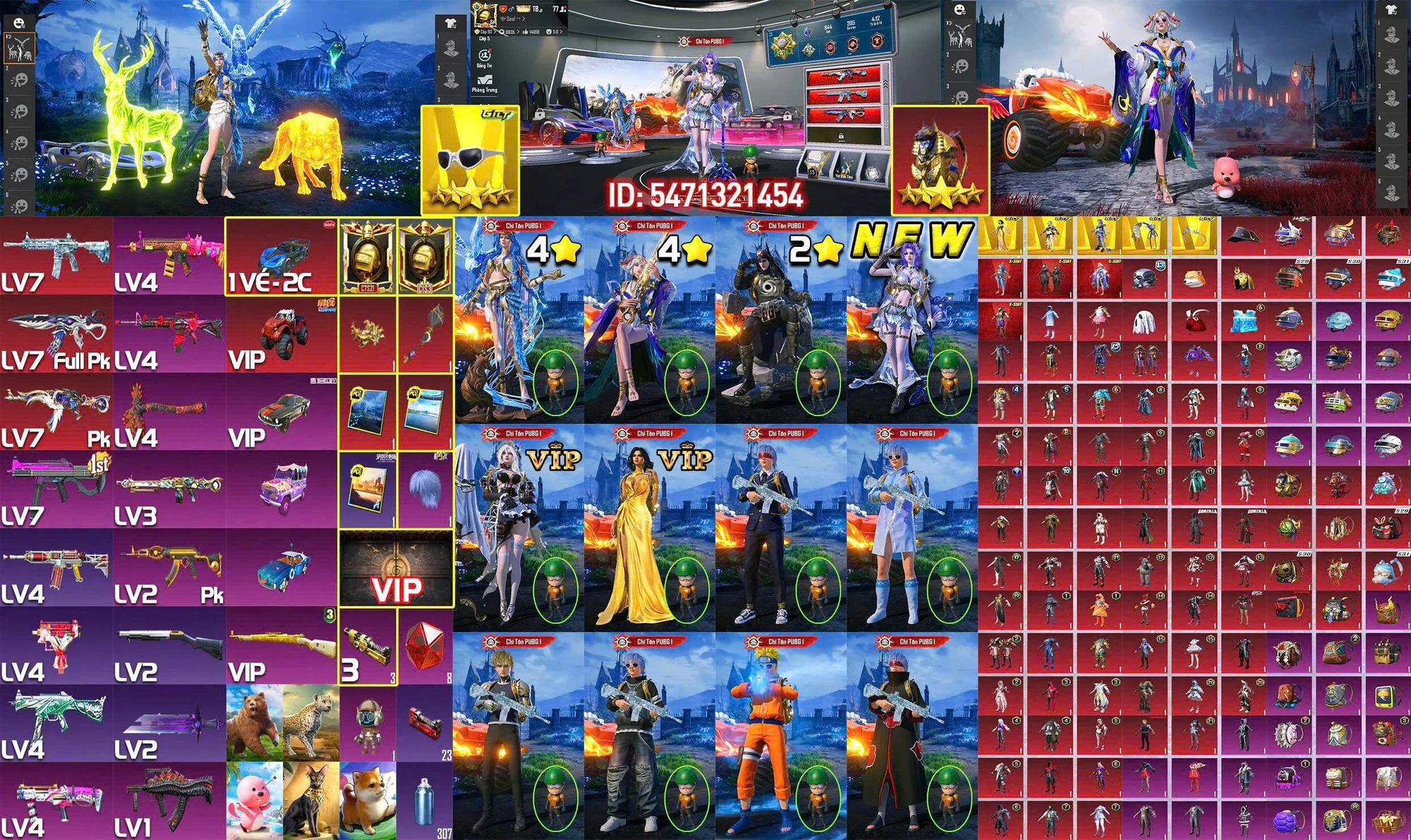 Ảnh đầy đủ tài khoản mã 15271