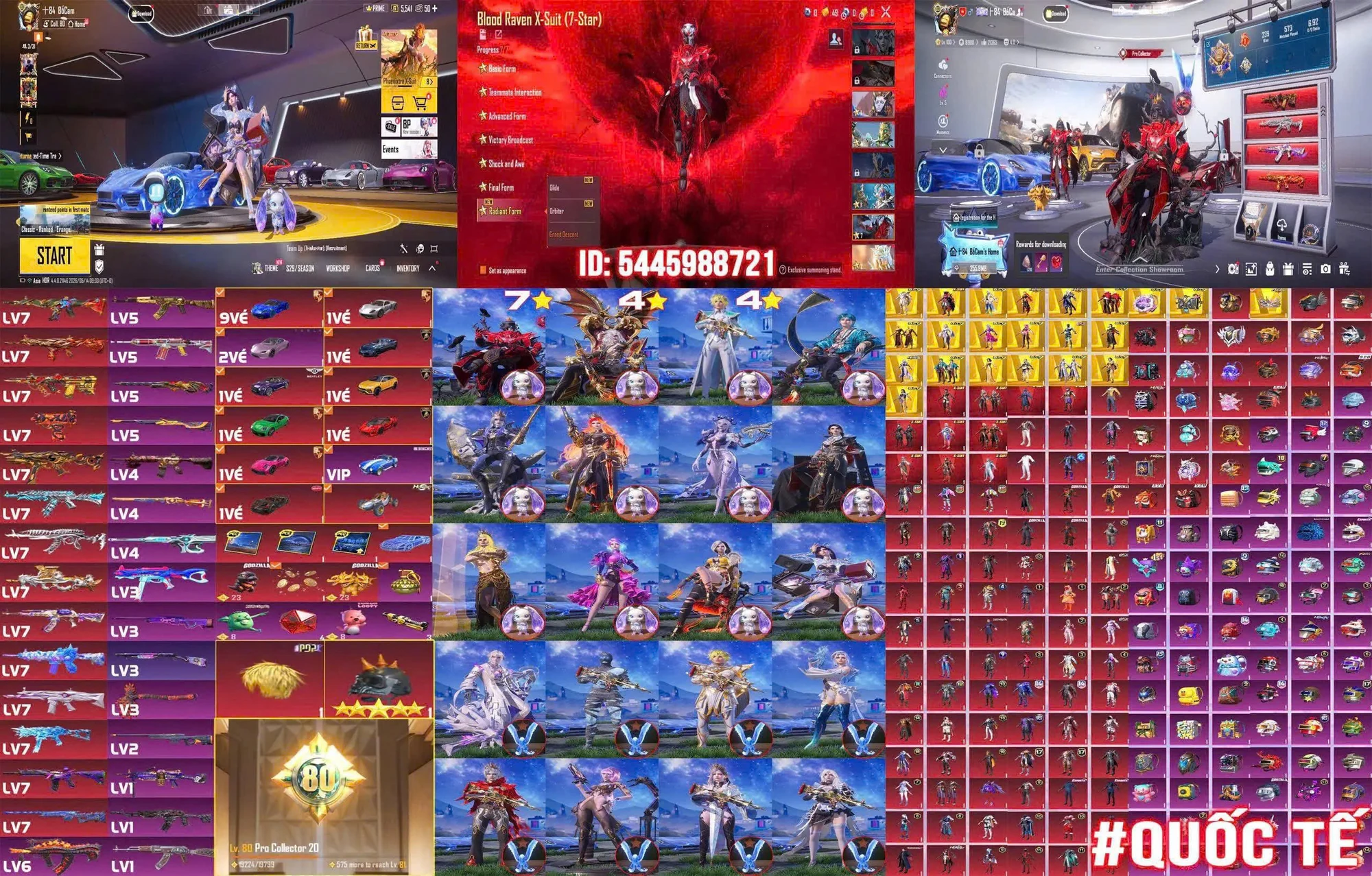 Ảnh đầy đủ tài khoản mã 17300