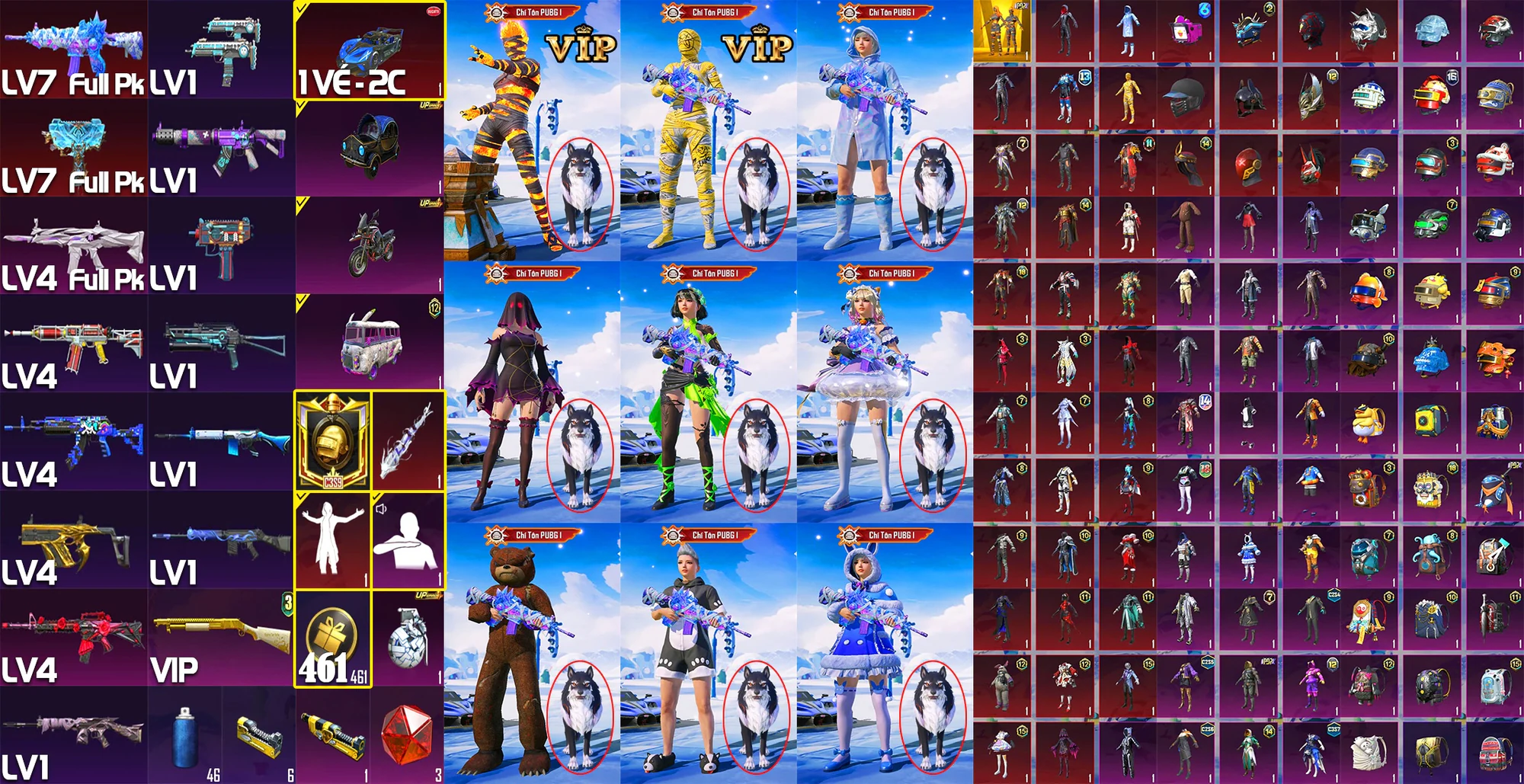 Ảnh đầy đủ tài khoản mã 16300