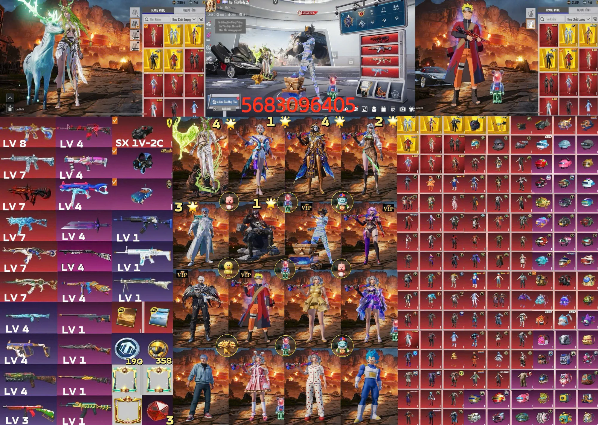 Ảnh đầy đủ tài khoản mã 17375