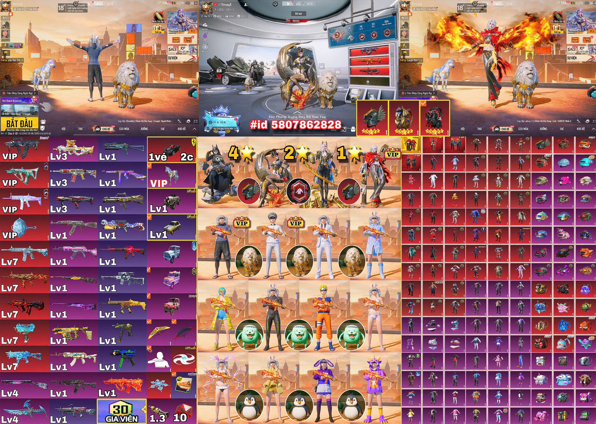Ảnh đầy đủ tài khoản mã 17968